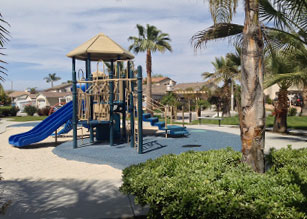 Community Photo